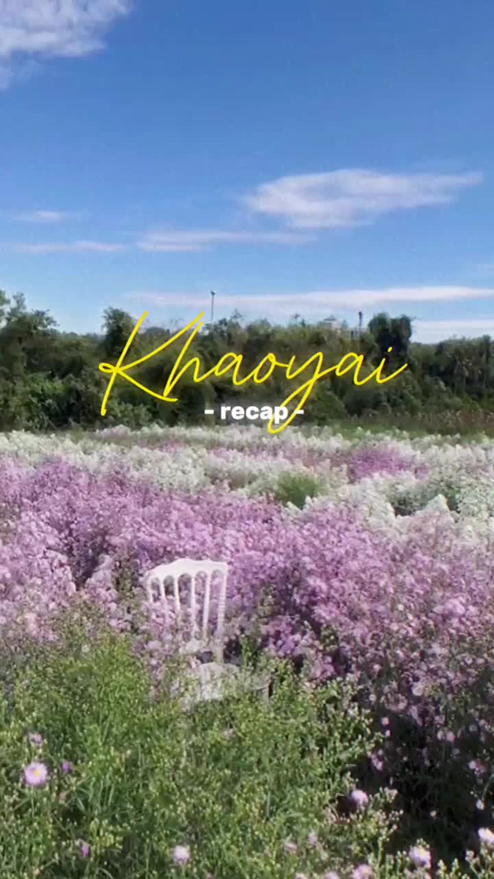 TikTok video of Mr. Brown Khaoyai — guest
