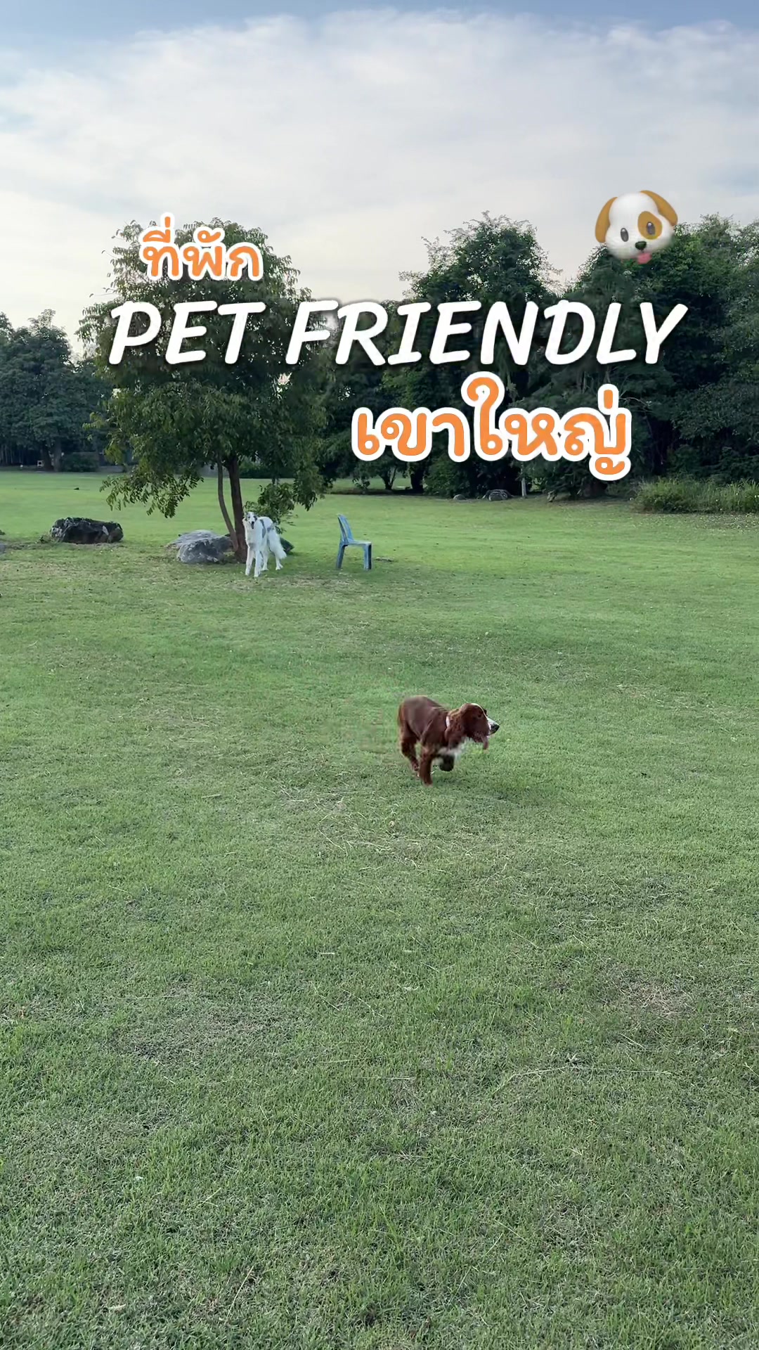 TikTok video of Mr. Brown Khaoyai — guest