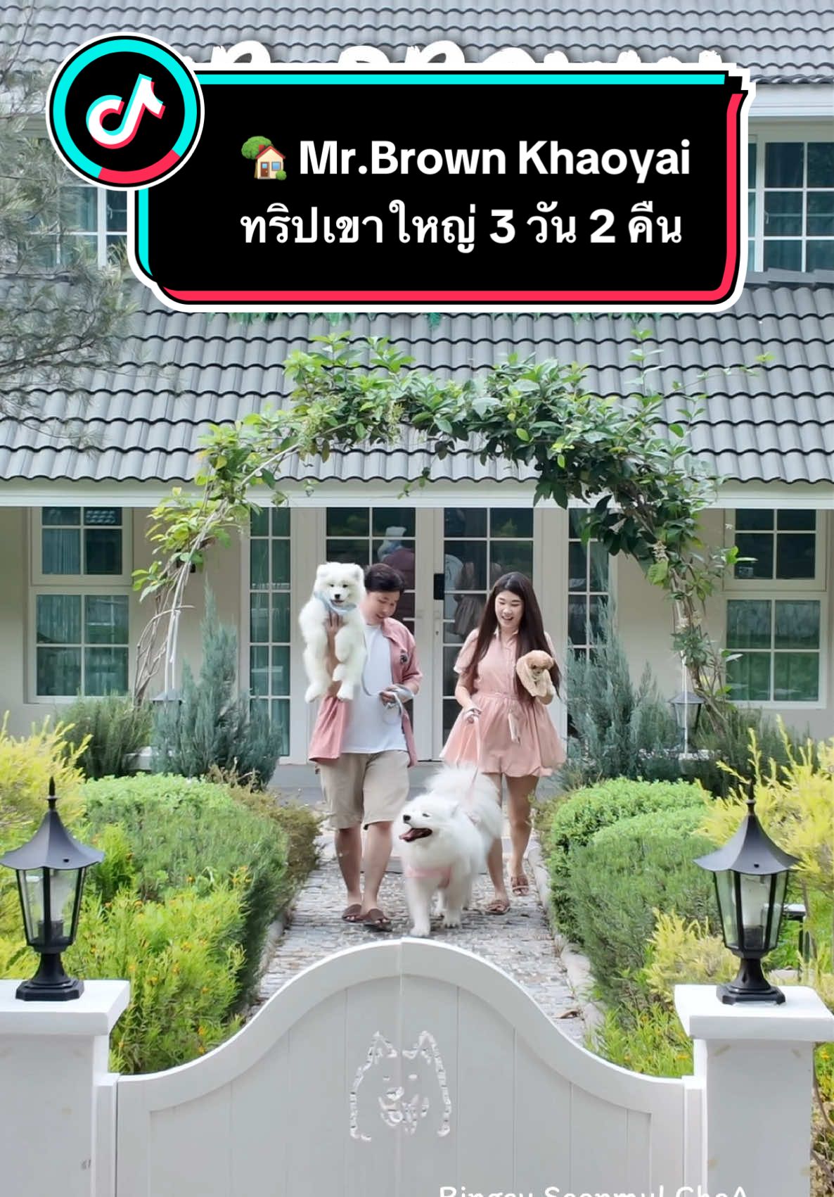 TikTok video of Mr. Brown Khaoyai — pet creator